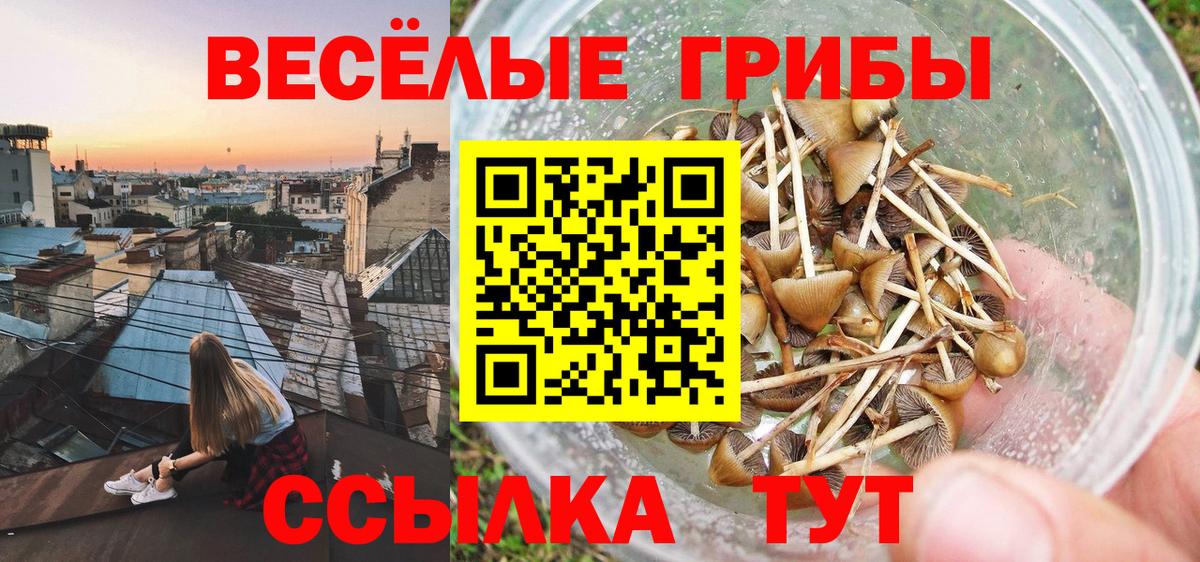 Псилоцибиновые грибы ЛСД  Вход с VPN  Обнинск  Галлюциногенные грибы Psilocybine cubensis 