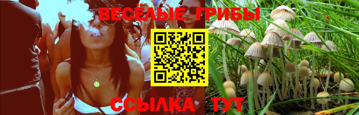 Галлюциногенные грибы Magic Shrooms Обнинск
